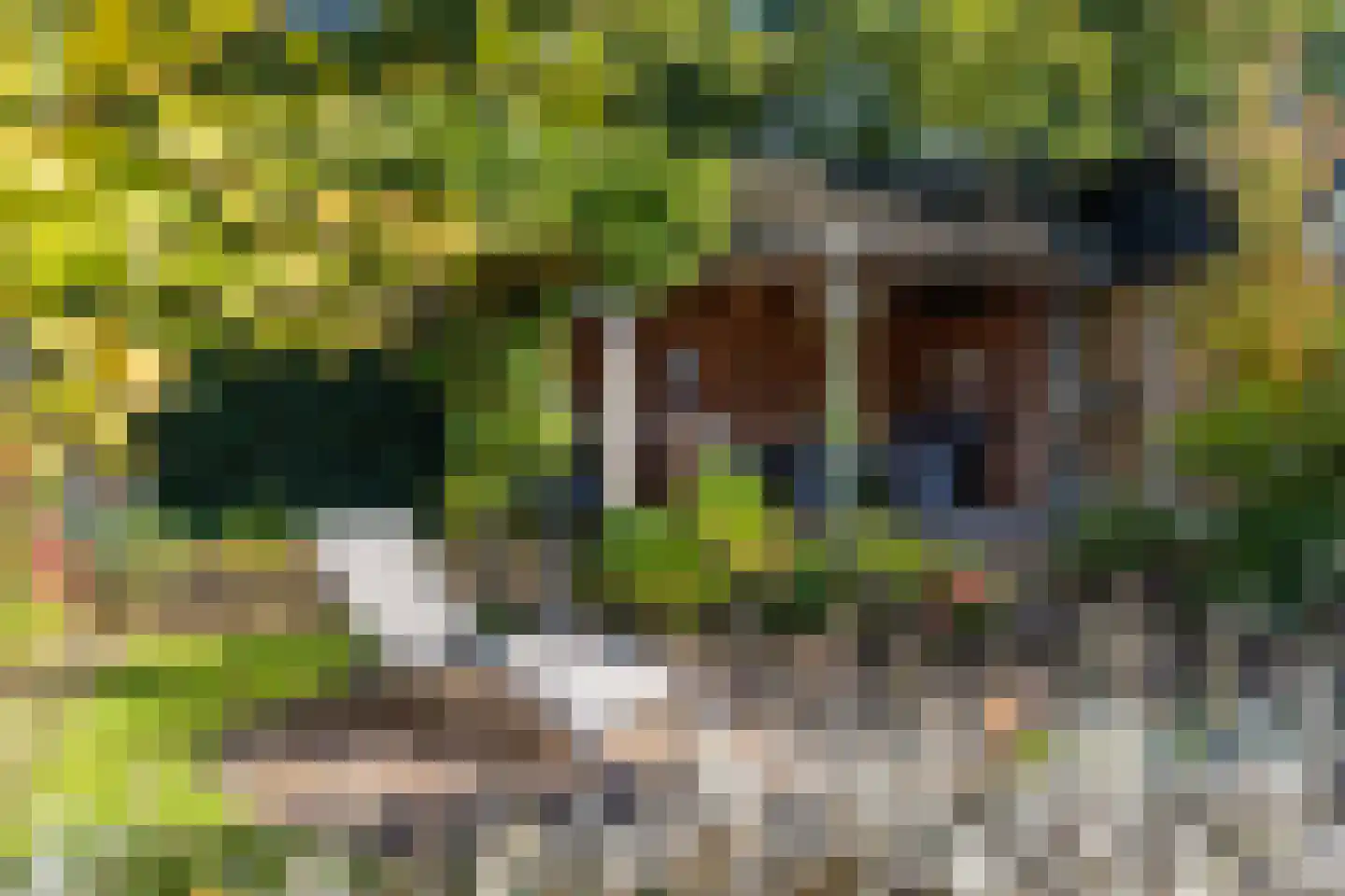 Nijverdalseweg 112 Rijssen thumbnail 41