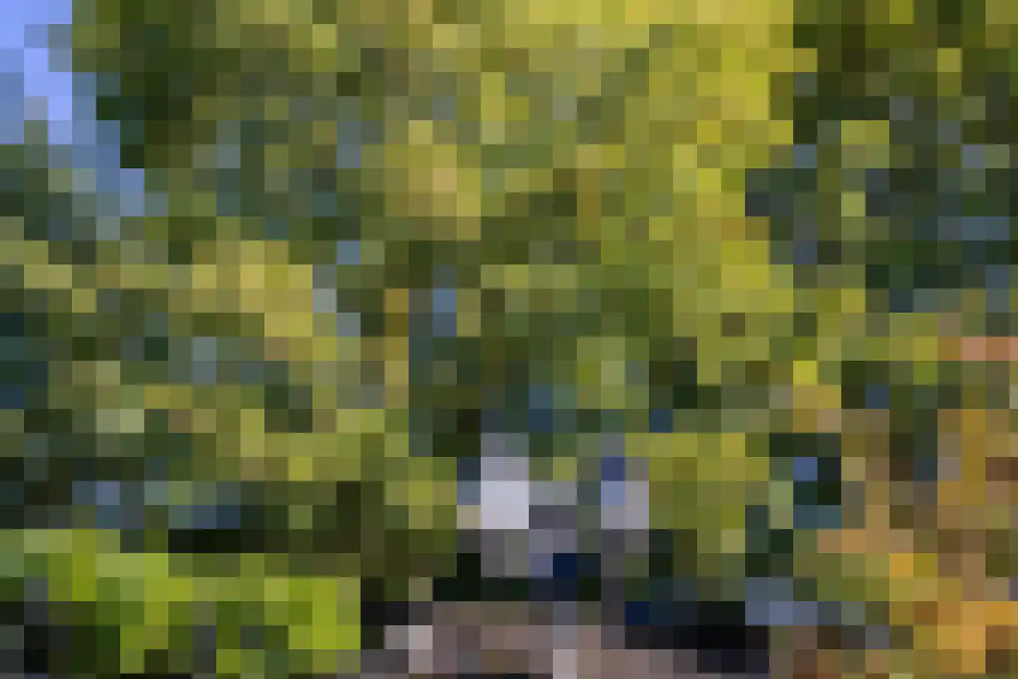 Nijverdalseweg 112 Rijssen thumbnail 42