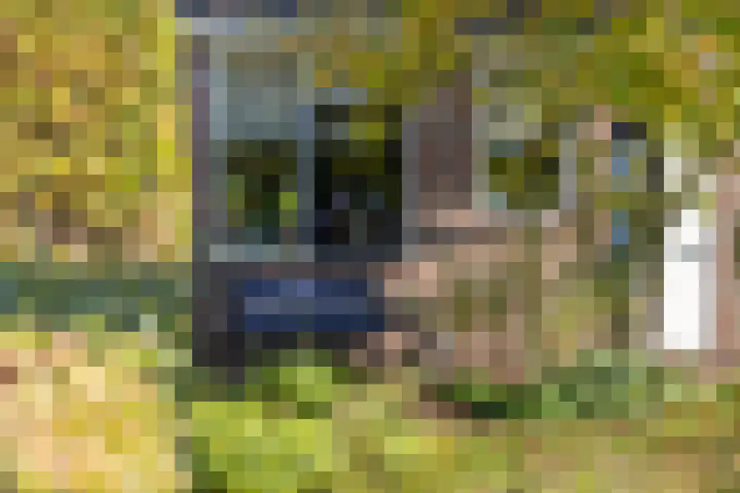 Nijverdalseweg 112 Rijssen thumbnail 44
