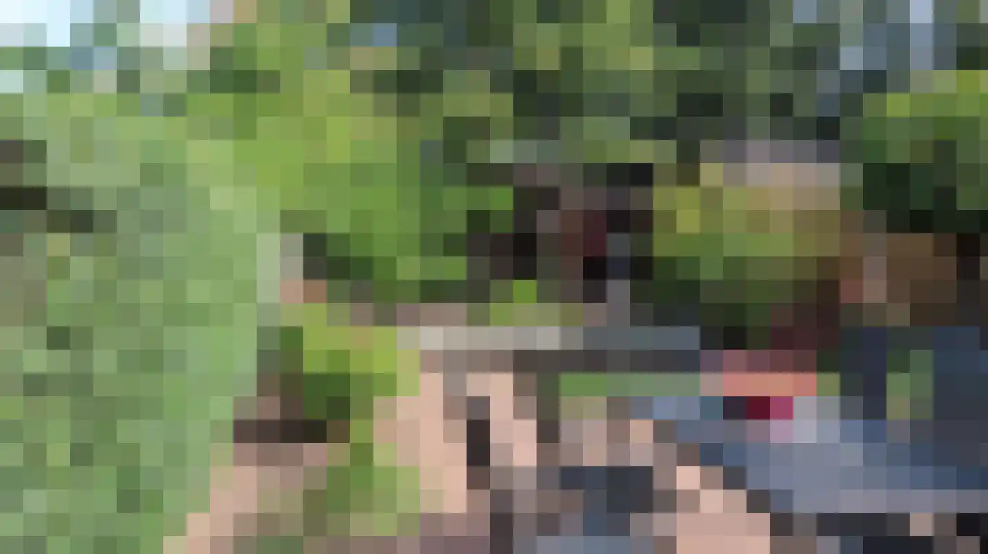 Nijverdalseweg 112 Rijssen thumbnail 55