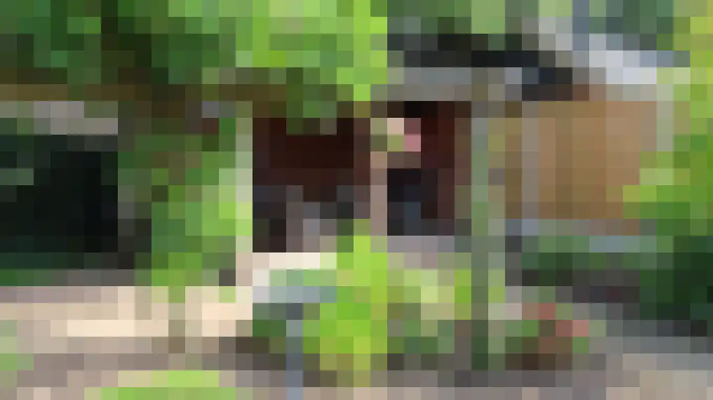 Nijverdalseweg 112 Rijssen thumbnail 57