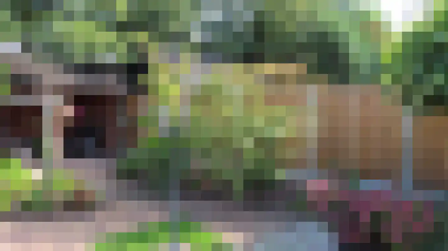 Nijverdalseweg 112 Rijssen thumbnail 61