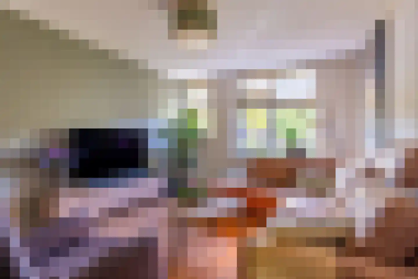 Nijverdalseweg 112 Rijssen thumbnail 7