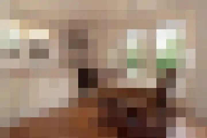 Nijverdalseweg 21 Rijssen thumbnail 18