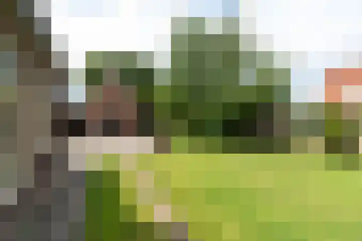 Nijverdalseweg 21 Rijssen thumbnail 44
