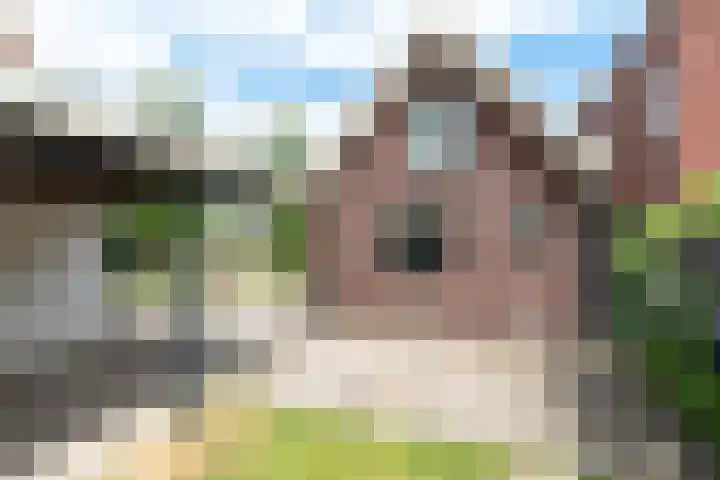 Nijverdalseweg 21 Rijssen thumbnail 45
