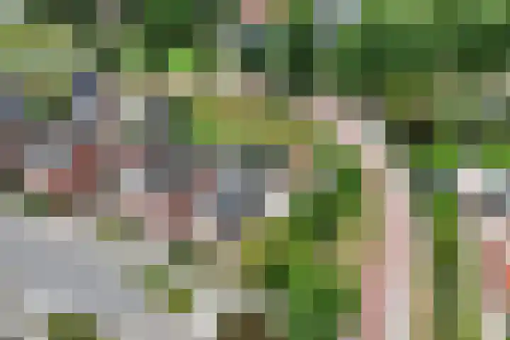 Nijverdalseweg 21 Rijssen thumbnail 47