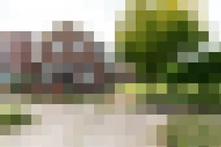 Nijverdalseweg 21 Rijssen thumbnail 48
