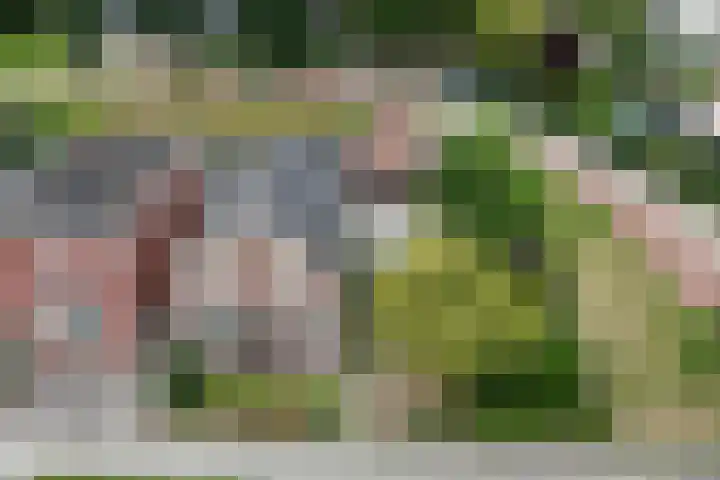 Nijverdalseweg 21 Rijssen thumbnail 5