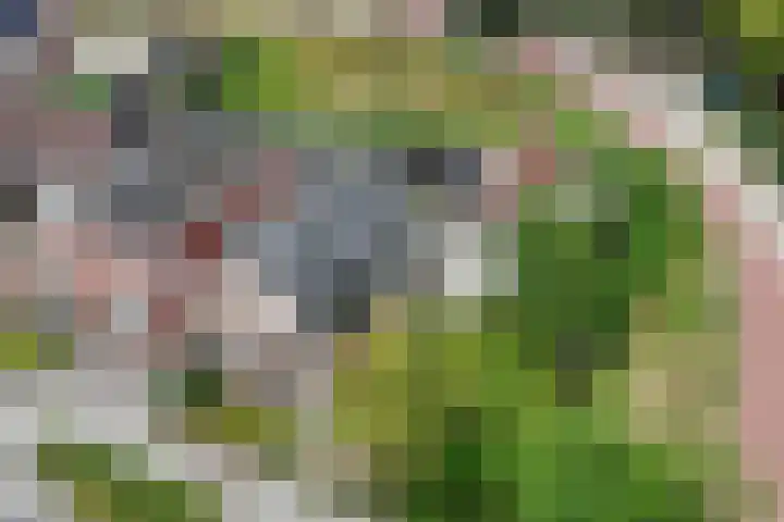 Nijverdalseweg 21 Rijssen thumbnail 6