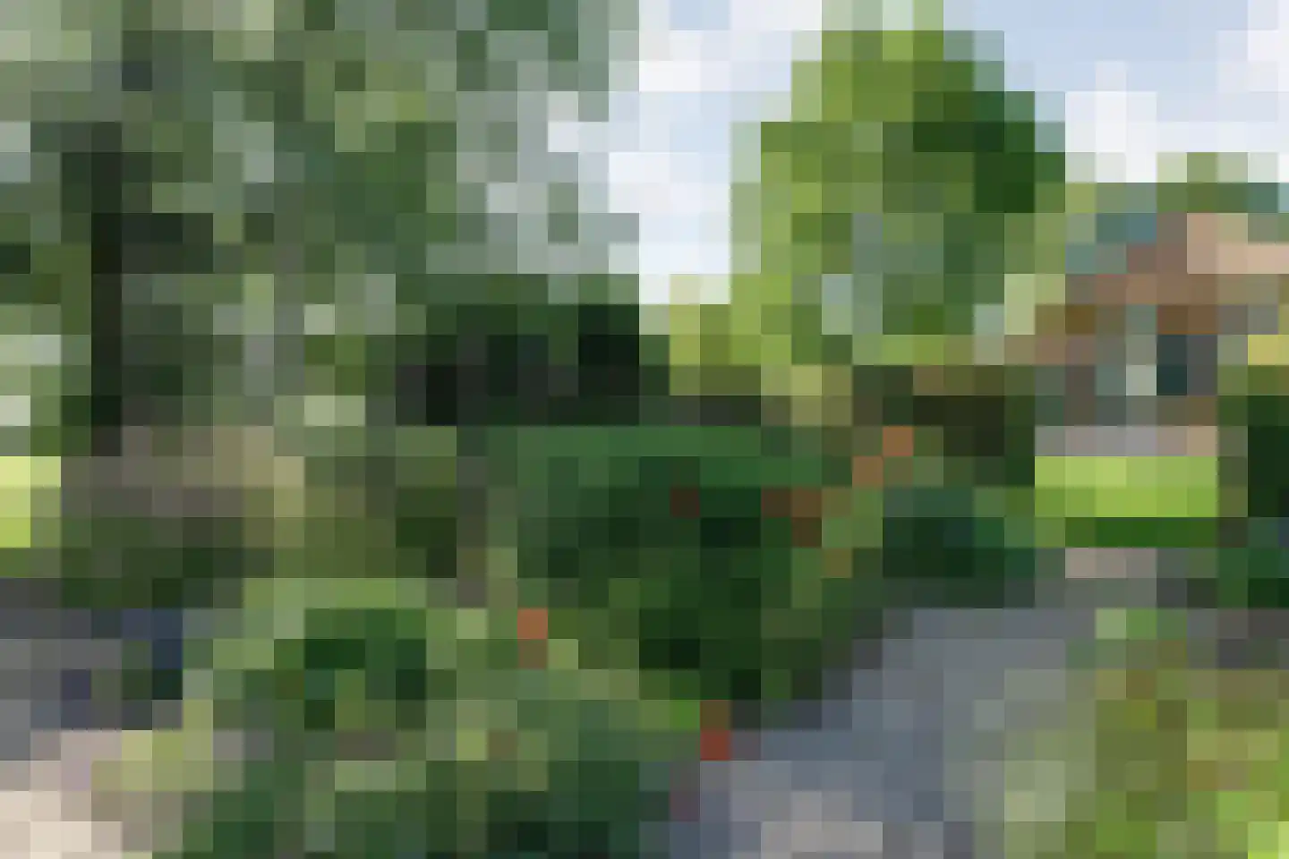 Nijverdalseweg 42 Mariënheem thumbnail 11