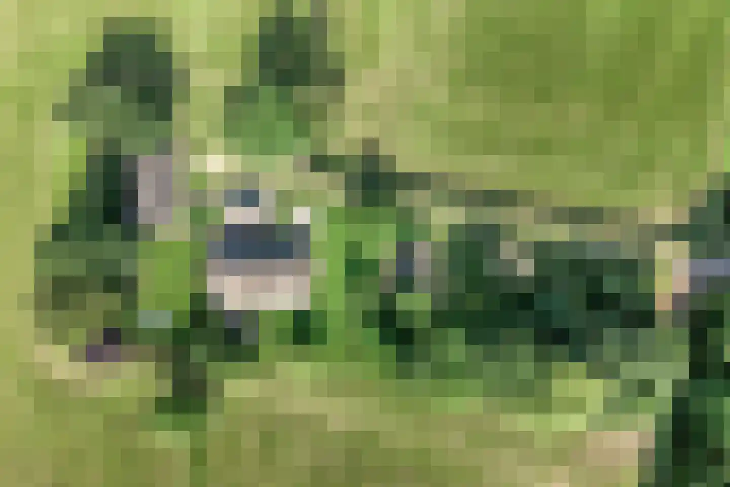 Nijverdalseweg 42 Mariënheem thumbnail 4