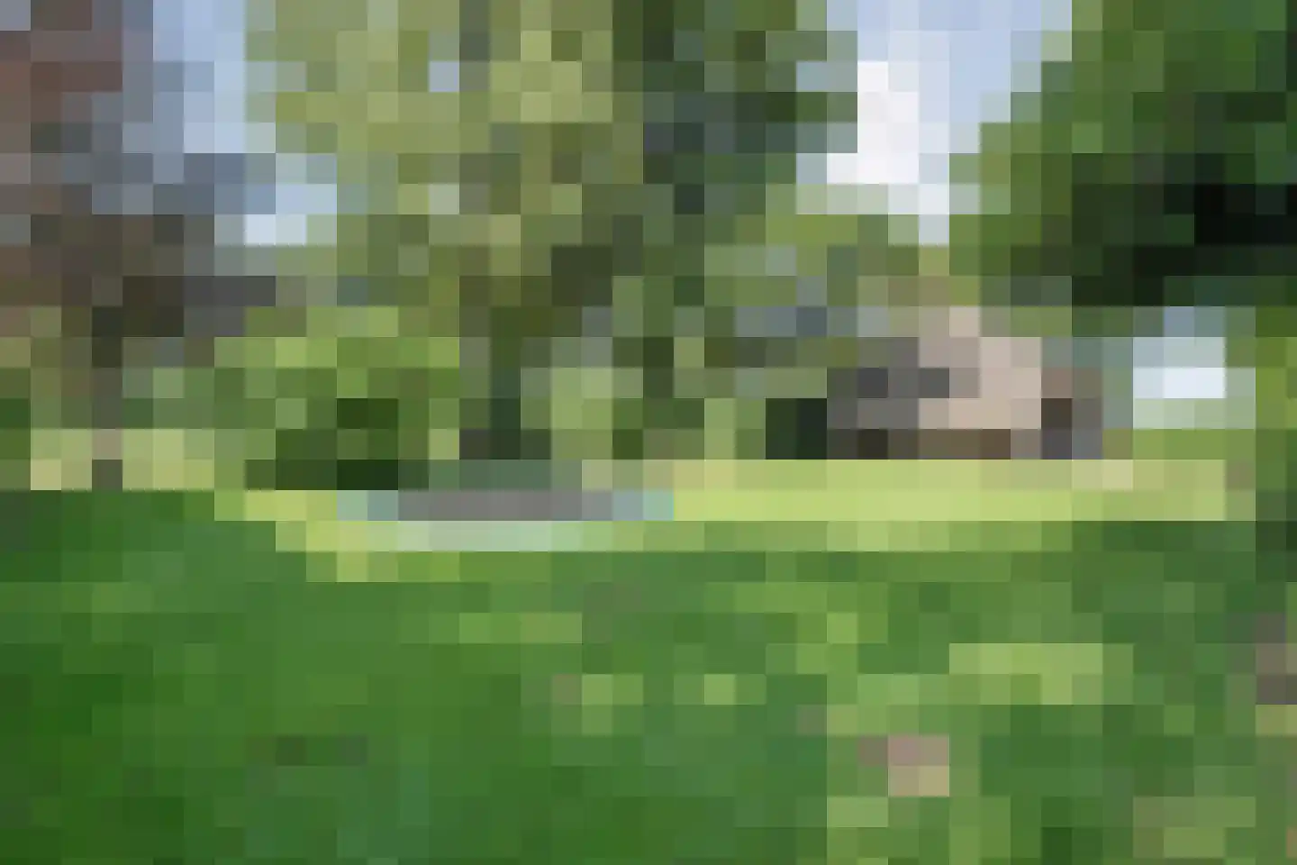 Nijverdalseweg 42 Mariënheem thumbnail 51