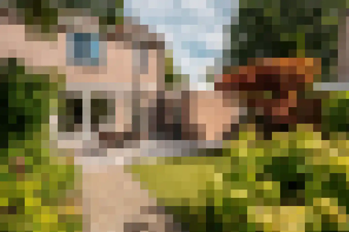 Nijvergouw 57 Almere thumbnail 35