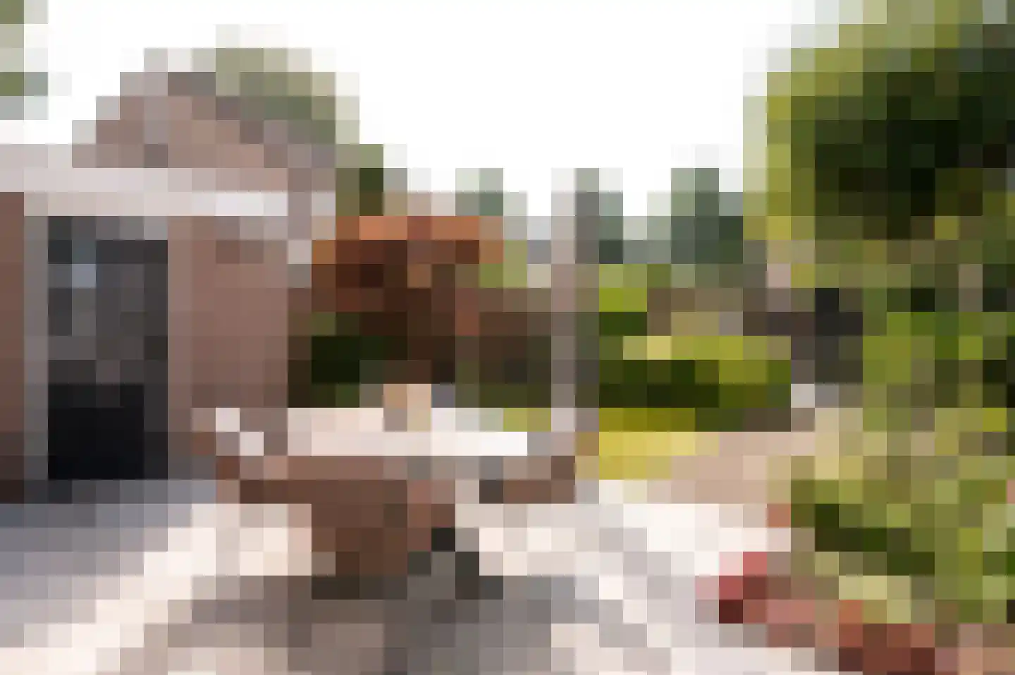 Nijvergouw 57 Almere thumbnail 39