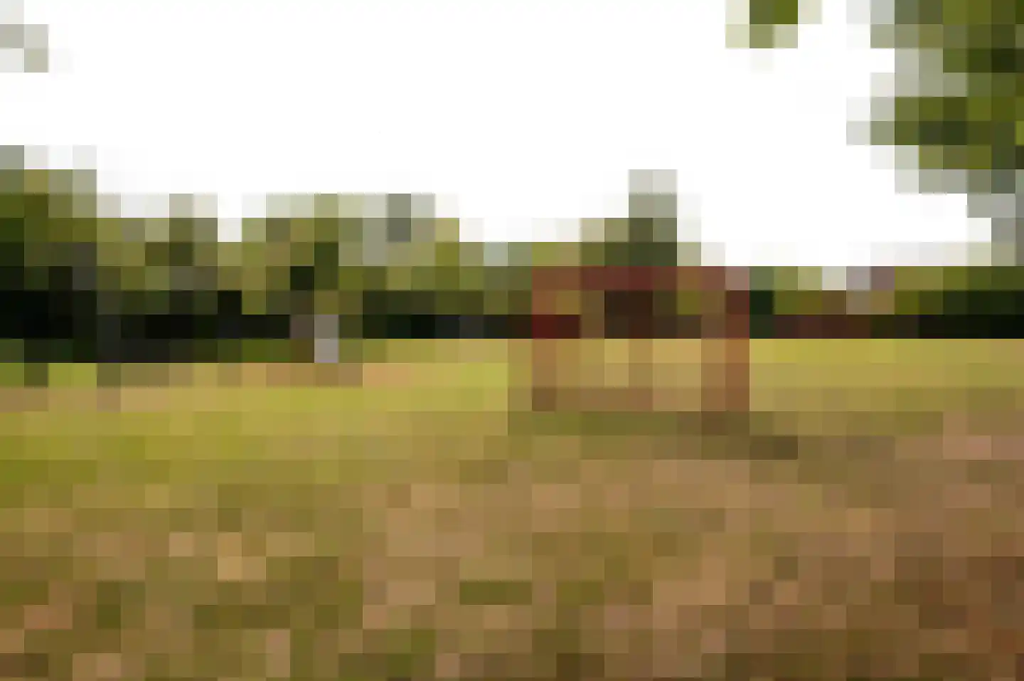 Nijvergouw 57 Almere thumbnail 41