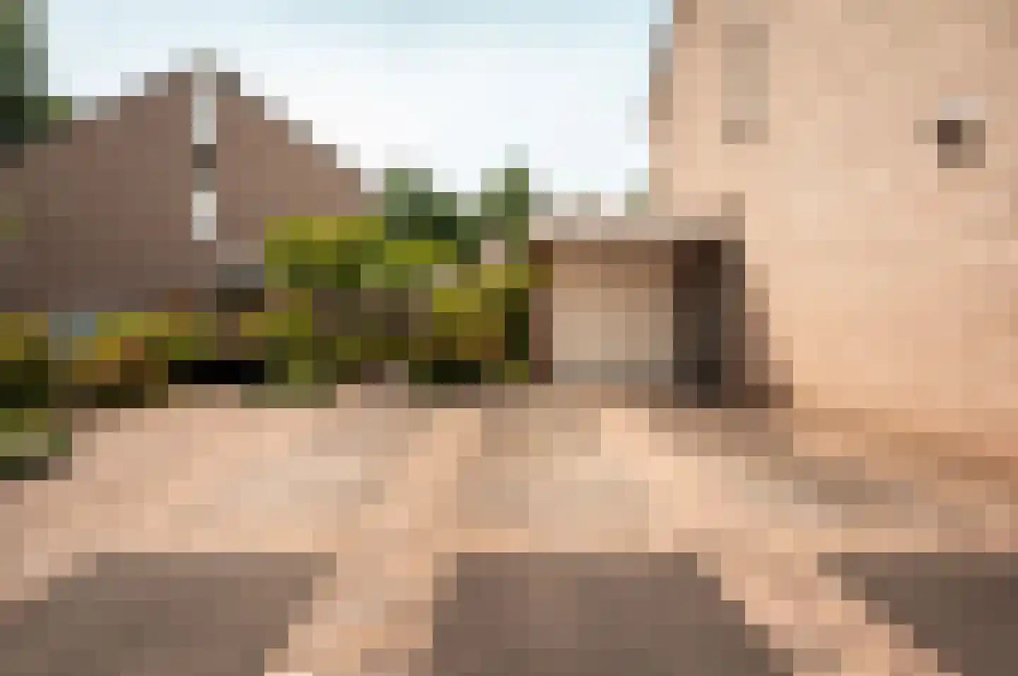 Nijvergouw 57 Almere thumbnail 42