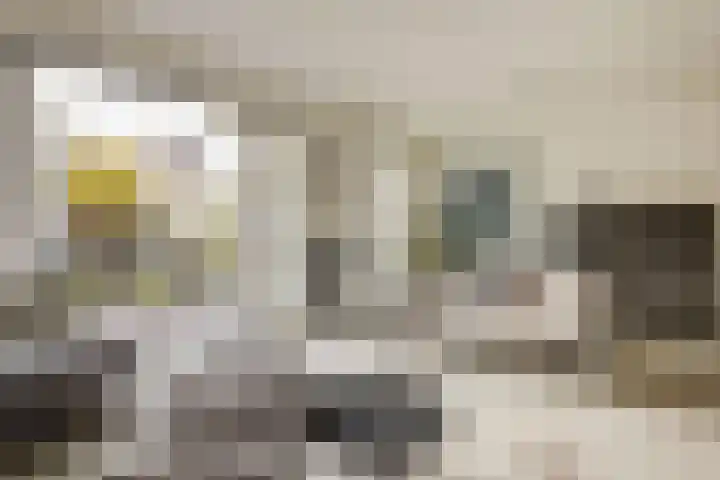 Nijvergouw 71 Almere thumbnail 10
