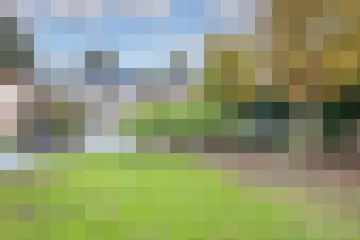 Nijvergouw 71 Almere thumbnail 20