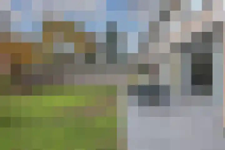 Nijvergouw 71 Almere thumbnail 23