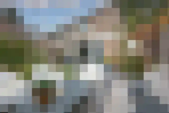 Nijvergouw 71 Almere thumbnail 24