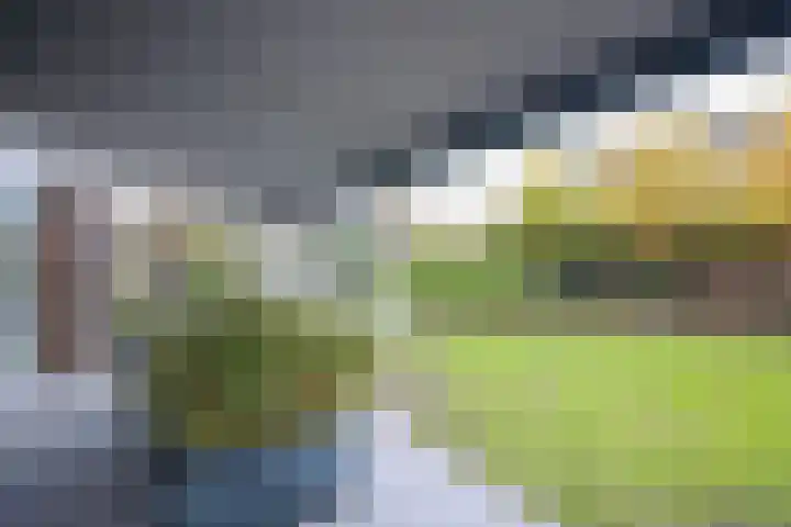 Nijvergouw 71 Almere thumbnail 25