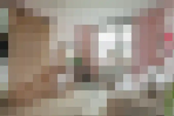 Nijvergouw 71 Almere thumbnail 30