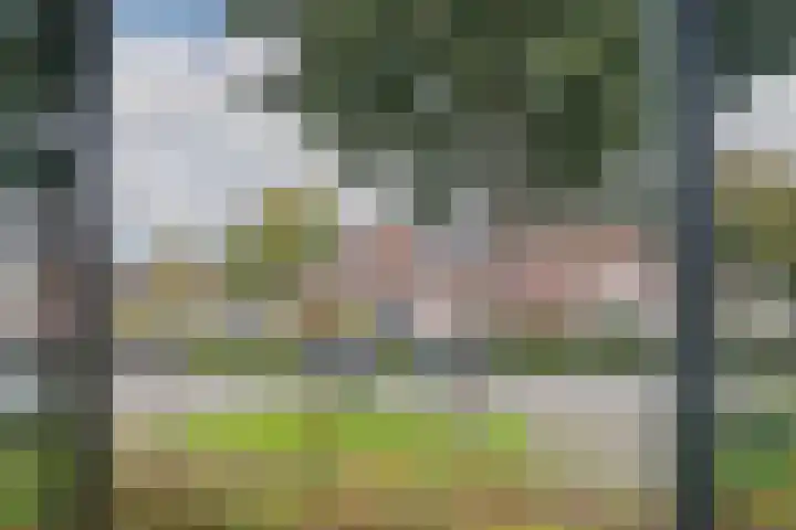 Nijvergouw 71 Almere thumbnail 36