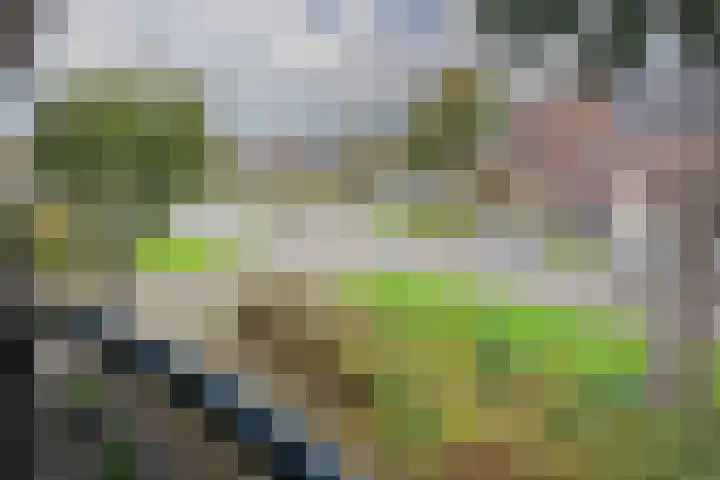 Nijvergouw 71 Almere thumbnail 37