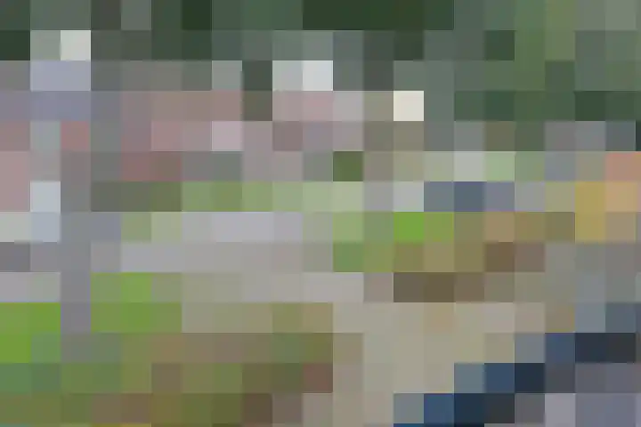 Nijvergouw 71 Almere thumbnail 38
