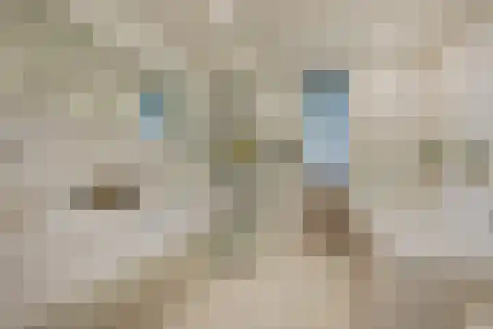 Nijvergouw 71 Almere thumbnail 41