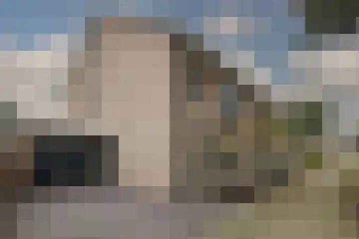 Nijvergouw 71 Almere thumbnail 55