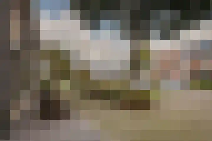Nijvergouw 71 Almere thumbnail 57