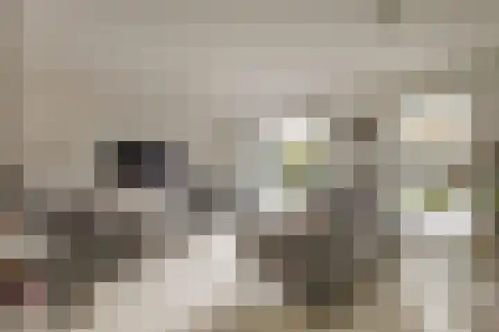 Nijvergouw 71 Almere thumbnail 6