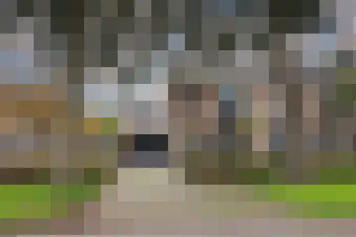 Nijvergouw 71 Almere thumbnail 60