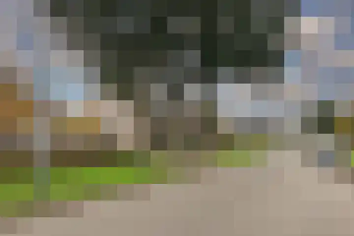 Nijvergouw 71 Almere thumbnail 61