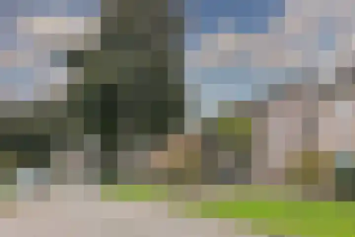 Nijvergouw 71 Almere thumbnail 62