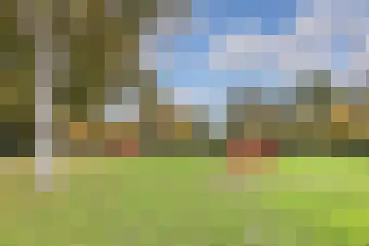 Nijvergouw 71 Almere thumbnail 64