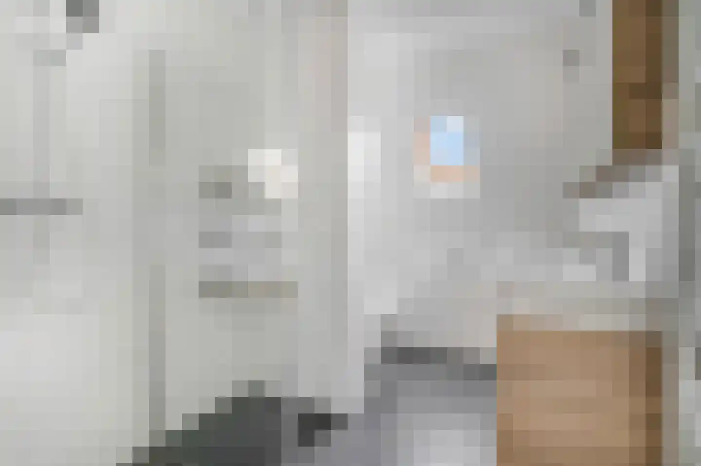 Nijverheidlaan 31 Ede thumbnail 19