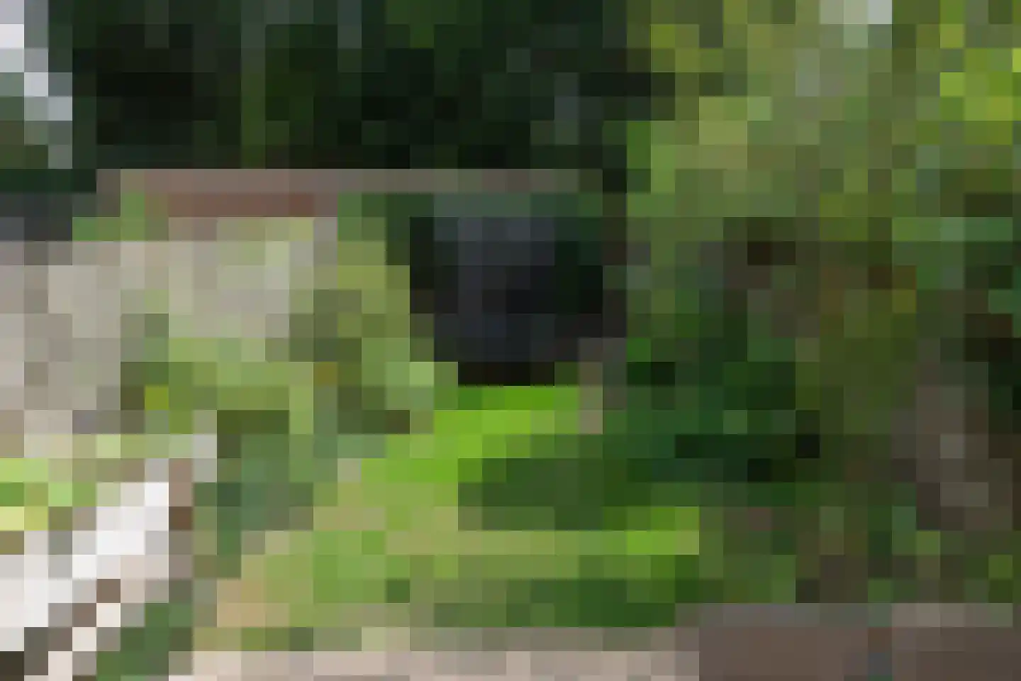 Nijverheidlaan 31 Ede thumbnail 26