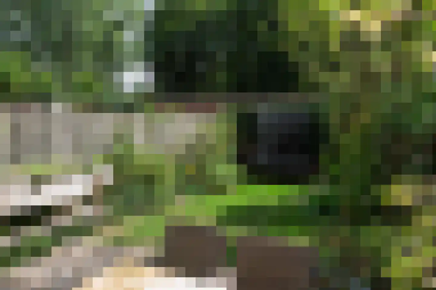 Nijverheidlaan 31 Ede thumbnail 27