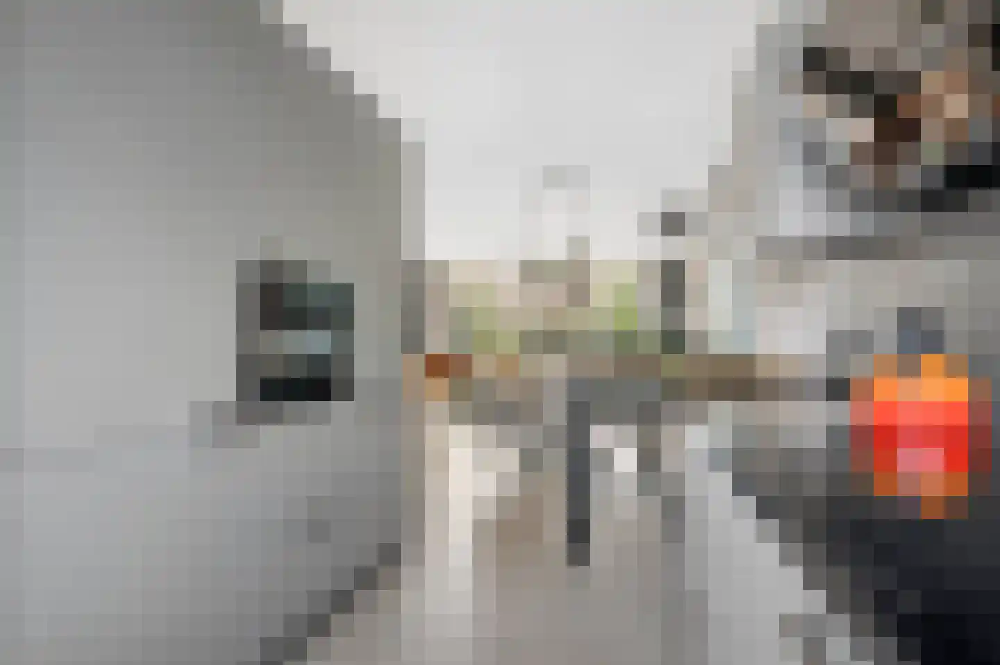 Nijverheidlaan 37 Ede thumbnail 15