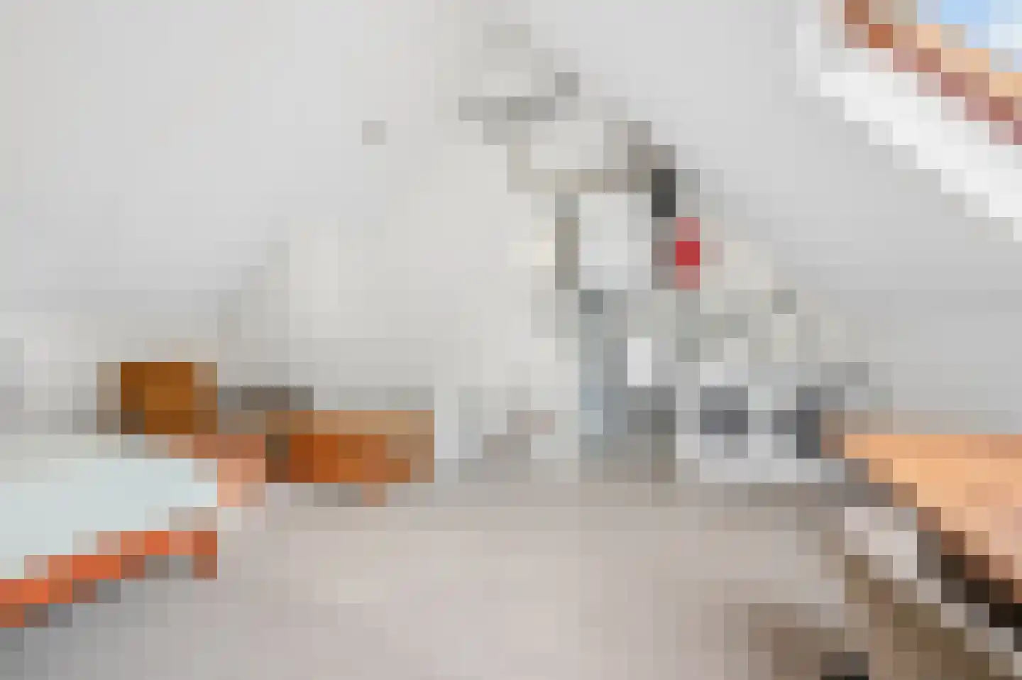 Nijverheidlaan 37 Ede thumbnail 34