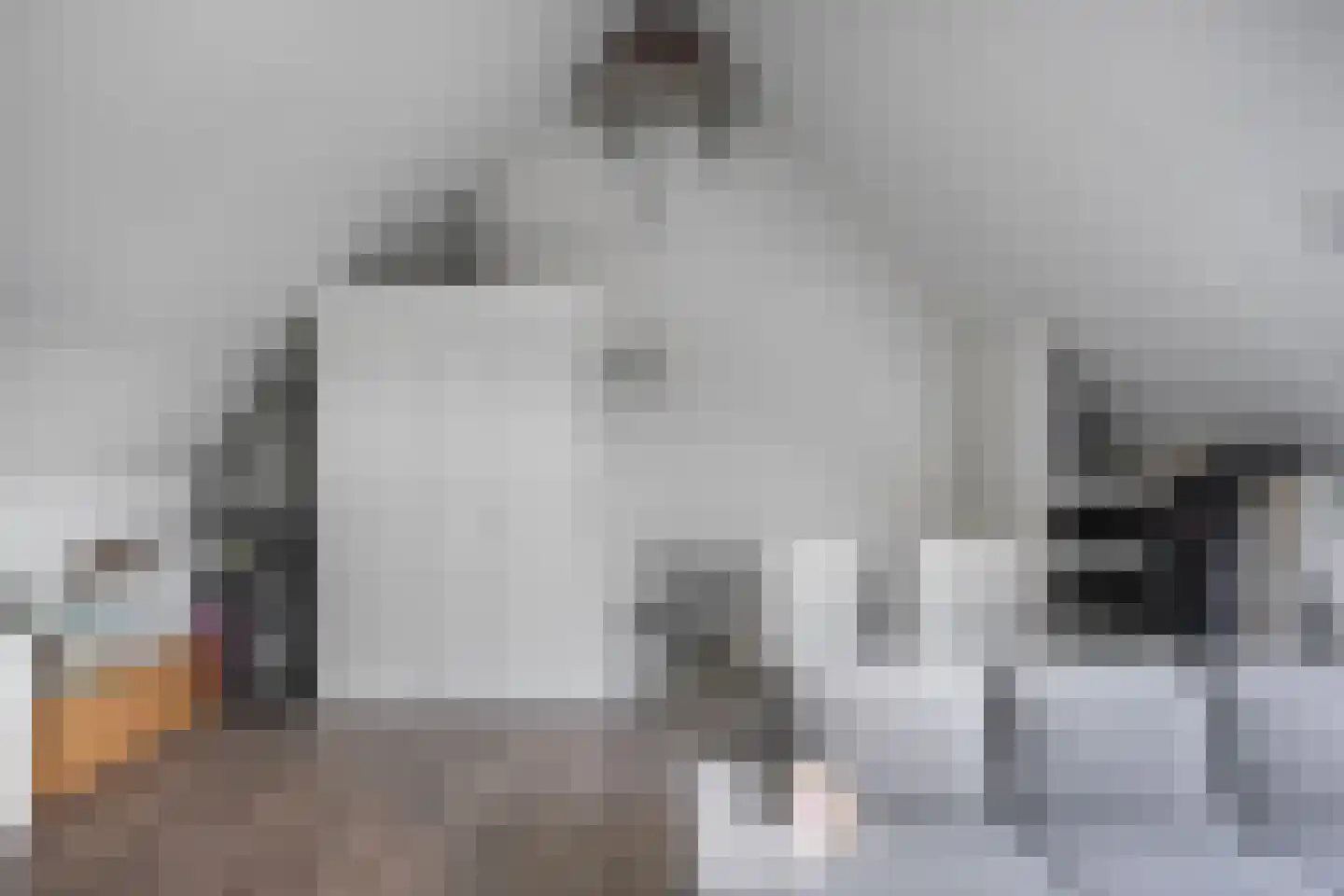 Nijverheidlaan 43 Ede thumbnail 19