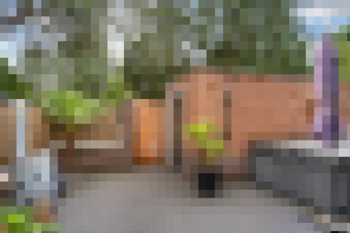 Nijverheidlaan 43 Ede thumbnail 24