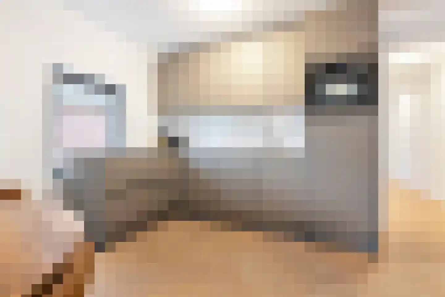 Nijverheidskade 4 B Wildervank thumbnail 10