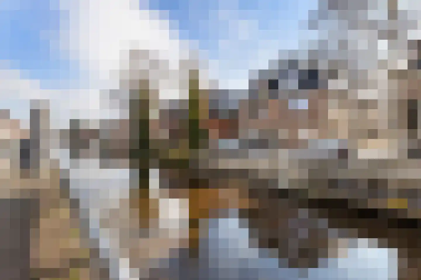 Nijverheidskade 4 C Wildervank thumbnail 20