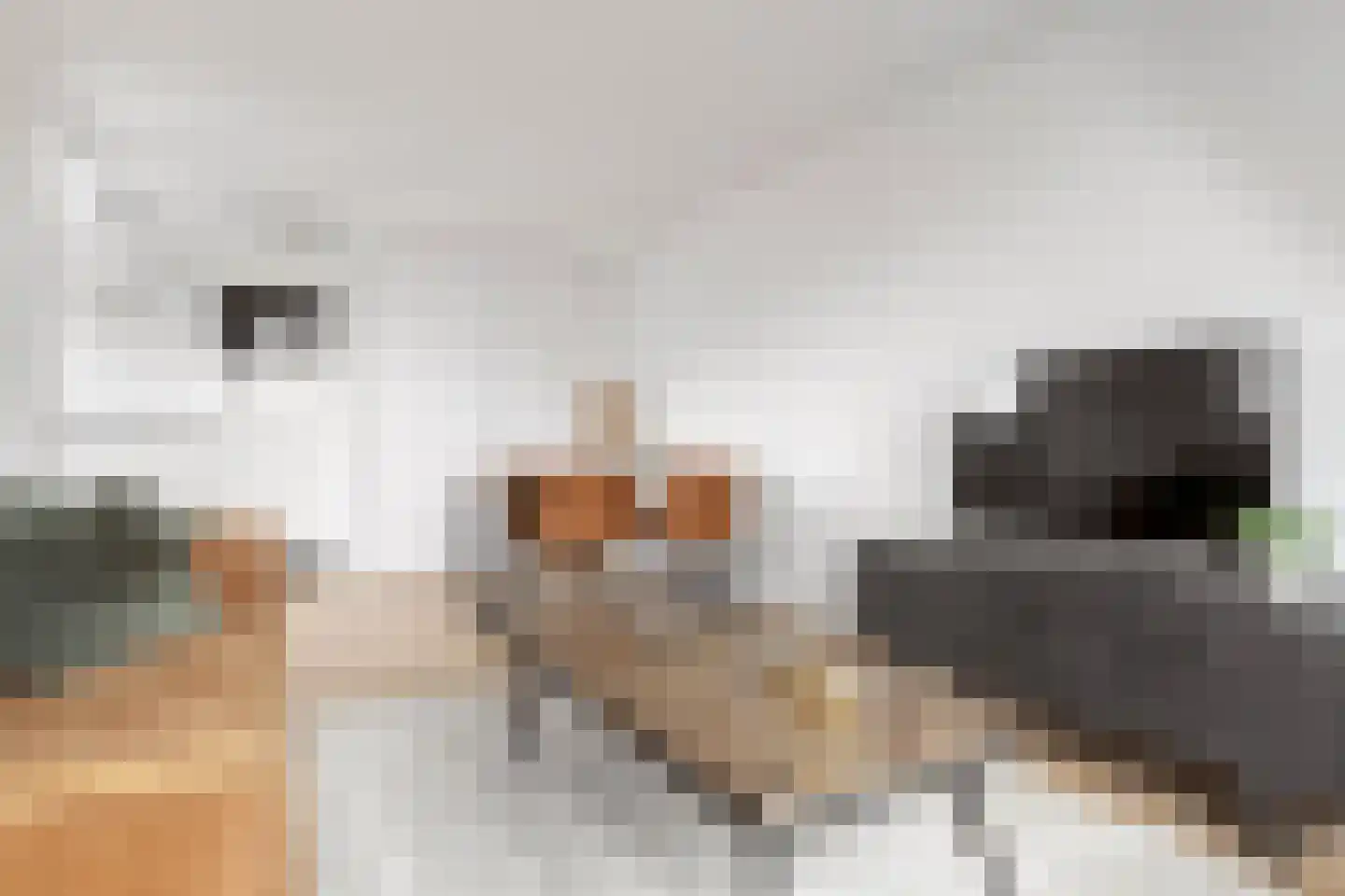Nijverheidskade 4 C Wildervank thumbnail 5