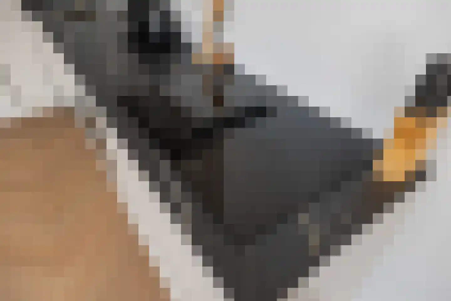 Nijverheidskade 4 Wildervank thumbnail 31