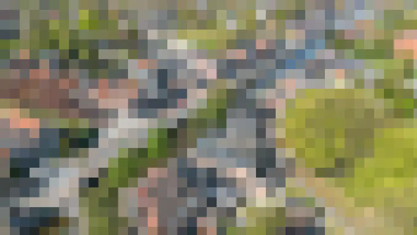 Nijverheidskade 4 Wildervank thumbnail 6
